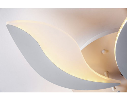Дополнительное фото Люстра потолочная LED Escada 10214/SG (60W): Купить в Интернет магазин освещения GCSVET.RU
