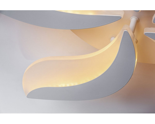 Дополнительное фото Люстра потолочная LED Escada 10214/SG (60W): Купить в Интернет магазин освещения GCSVET.RU