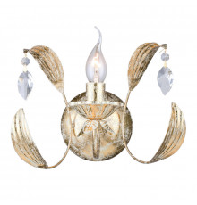 Настенный светильник Arti Lampadari Arosio E 2.1.1 G