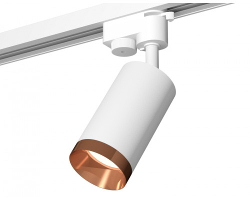 Основное фото Светильник трековый (однофазный) Ambrella Light Track System XT6322065 (A2520, C6322, N6135): Купить в Интернет магазин освещения GCSVET.RU