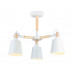 Основное фото Люстра потолочная Ambrella Light Loft TR82204: Купить в Интернет магазин освещения GCSVET.RU