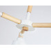 Дополнительное фото Люстра потолочная Ambrella Light Loft TR82204: Купить в Интернет магазин освещения GCSVET.RU