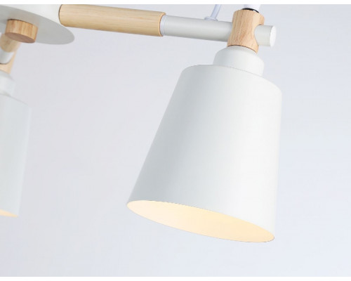 Дополнительное фото Люстра потолочная Ambrella Light Loft TR82204: Купить в Интернет магазин освещения GCSVET.RU