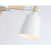 Дополнительное фото Люстра потолочная Ambrella Light Loft TR82204: Купить в Интернет магазин освещения GCSVET.RU
