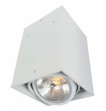 Светильник потолочный Arte Lamp Cardani A5936PL-1WH