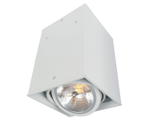 Основное фото Светильник потолочный Arte Lamp Cardani A5936PL-1WH: Купить в Интернет магазин освещения GCSVET.RU