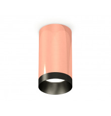 Светильник потолочный Ambrella Light Techno Spot XS6326004 (C6326, N6131)