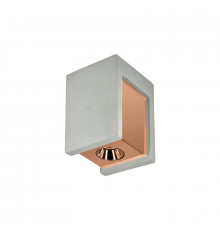Светильник потолочный LED Loft IT Architect OL1073-GG