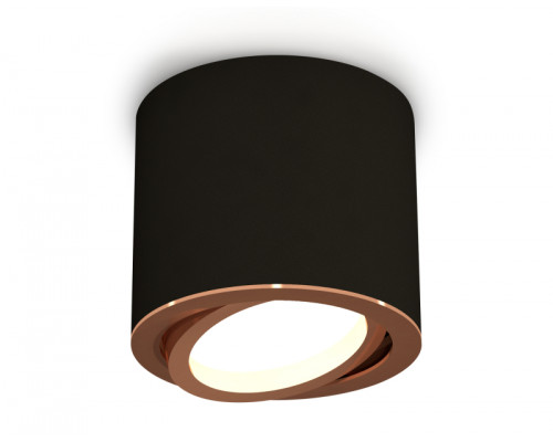 Основное фото Светильник накладной поворотный Ambrella Light Techno XS7402004 (C7402, N7005): Купить в Интернет магазин освещения GCSVET.RU