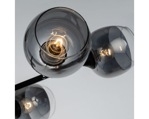 Дополнительное фото Люстра потолочная Arte Lamp Salm A3580PL-6BK: Купить в Интернет магазин освещения GCSVET.RU