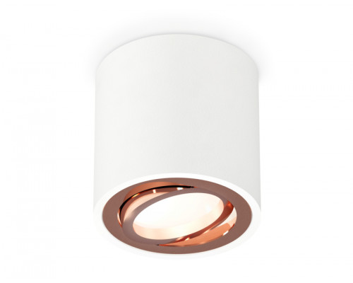 Основное фото Светильник потолочный Ambrella Light Techno Spot XS7531005 (C7531, N7005): Купить в Интернет магазин освещения GCSVET.RU