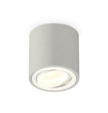 Светильник потолочный Ambrella Light Techno Spot XS7533001 (C7533, N7001)