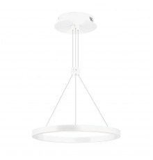 Подвесной Светильник подвесной Arlight SP-CONGO-CAN-1-R400-24W Day4000 (WH, 120 deg, 230V) 046213