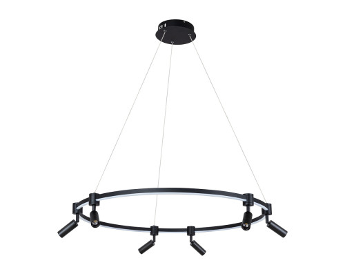 Основное фото Люстра подвесная Arte Lamp Ring A2186SP-1BK: Купить в Интернет магазин освещения GCSVET.RU