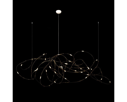 Дополнительное фото Люстра подвесная Loft IT Flock of Light 10309/31: Купить в Интернет магазин освещения GCSVET.RU