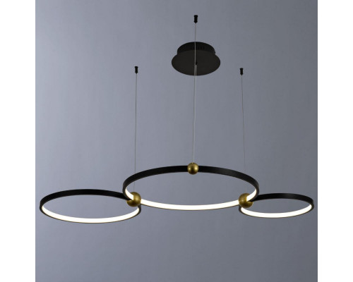 Дополнительное фото Светильник подвесной LED Divinare Amadeo 1123/04 SP-75: Купить в Интернет магазин освещения GCSVET.RU