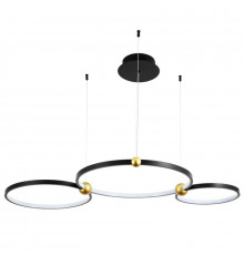Светильник подвесной LED Divinare Amadeo 1123/04 SP-75