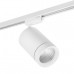 Дополнительное фото Светильник трековый LED Lightstar Canno Led 303262: Купить в Интернет магазин освещения GCSVET.RU