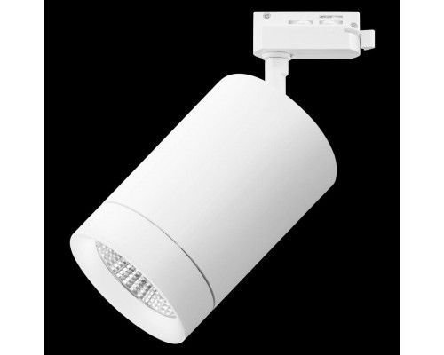 Дополнительное фото Светильник трековый LED Lightstar Canno Led 303262: Купить в Интернет магазин освещения GCSVET.RU