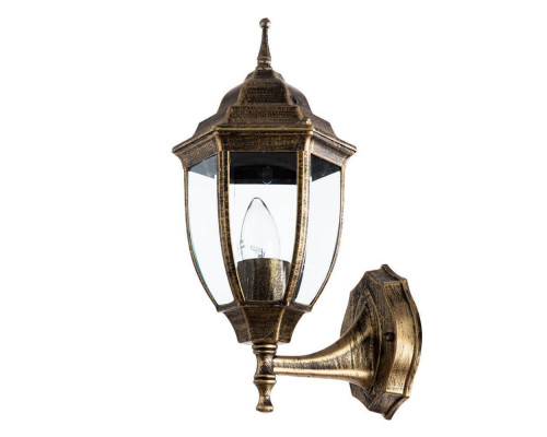 Основное фото Светильник настенный для улицы Arte Lamp Pegasus A3151AL-1BN: Купить в Интернет магазин освещения GCSVET.RU