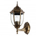 Основное фото Светильник настенный для улицы Arte Lamp Pegasus A3151AL-1BN: Купить в Интернет магазин освещения GCSVET.RU