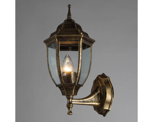 Дополнительное фото Светильник настенный для улицы Arte Lamp Pegasus A3151AL-1BN: Купить в Интернет магазин освещения GCSVET.RU