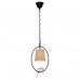 Дополнительное фото Светильник подвесной LOFT IT Birds Loft1029A-1: Купить в Интернет магазин освещения GCSVET.RU