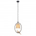 Дополнительное фото Светильник подвесной LOFT IT Birds Loft1029A-1: Купить в Интернет магазин освещения GCSVET.RU