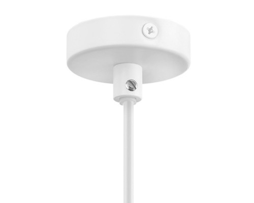 Дополнительное фото Светильник подвесной Lightstar Loft 765016: Купить в Интернет магазин освещения GCSVET.RU