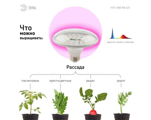 Дополнительное фото Светодиодная лампа для растений ЭРА E27 18W 2370K FITO-18W-RB-E27 Б0049533: Купить в Интернет магазин освещения GCSVET.RU