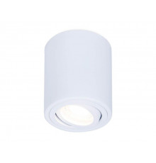 Светильник потолочный Ambrella Light Techno Spot TN225