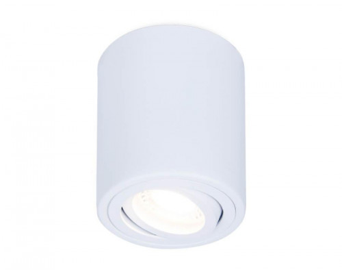 Основное фото Светильник потолочный Ambrella Light Techno Spot TN225: Купить в Интернет магазин освещения GCSVET.RU