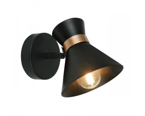 Дополнительное фото Светильник спот Arte Lamp Baltimore A1406AP-1BK: Купить в Интернет магазин освещения GCSVET.RU