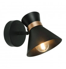 Светильник спот Arte Lamp Baltimore A1406AP-1BK