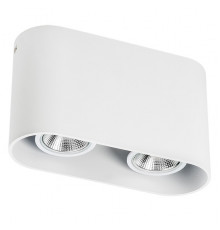 Светильник накладной Lightstar Rullo 214866