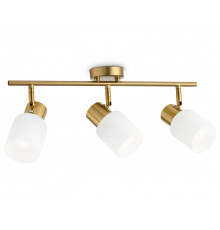 Светильник спот Ambrella Light Traditional TR3972