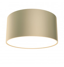 Светильник потолочный Maytoni Zon C032CL-12W4K-RD-MG