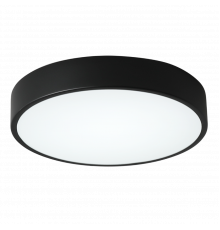 Светильник потолочный Zortes Tortty ZRS.02563.48