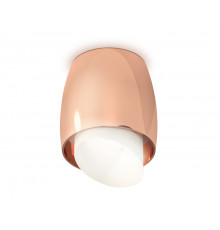 Светильник потолочный Ambrella Light Techno Spot XS1144021 (C1144, N7175)