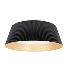 Светильник потолочный Loft IT Evans 10224 Black