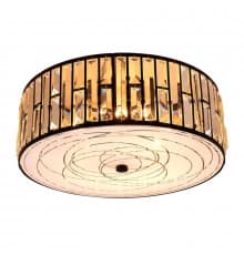 Светильник потолочный Citilux Гермес CL331171