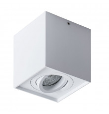 Светильник потолочный Arte Lamp Factor A5544PL-1WH