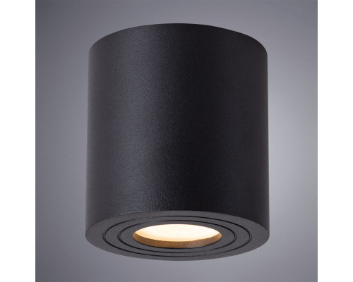 Дополнительное фото Светильник накладной ARTE Lamp A1460PL-1BK: Купить в Интернет магазин освещения GCSVET.RU