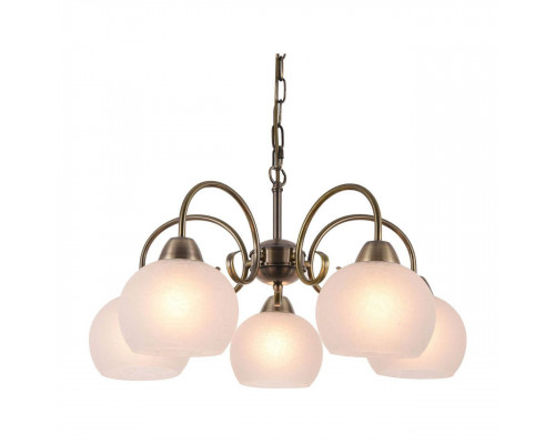 Дополнительное фото Люстра подвесная Arte Lamp A9317LM-5AB: Купить в Интернет магазин освещения GCSVET.RU