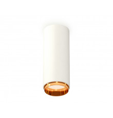 Светильник потолочный Ambrella Light Techno Spot XS6342005 (C6342, N6124)