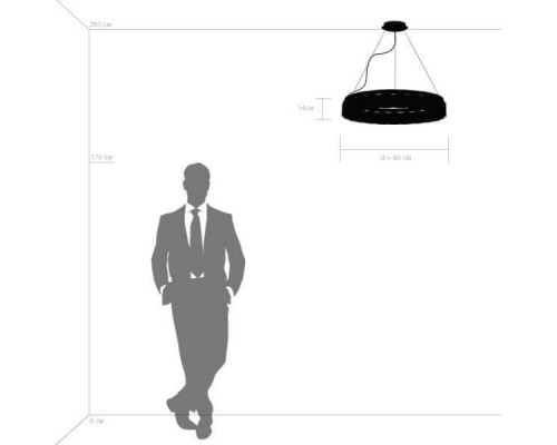 Дополнительное фото Люстра подвесная LED Lightstar Nibbler 812236: Купить в Интернет магазин освещения GCSVET.RU