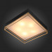 Дополнительное фото Люстра потолочная ST-Luce SL1127.422.05: Купить в Интернет магазин освещения GCSVET.RU