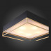 Дополнительное фото Люстра потолочная ST-Luce SL1127.422.05: Купить в Интернет магазин освещения GCSVET.RU