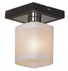 Светильник потолочный Lussole Costanzo LSL-9007-01