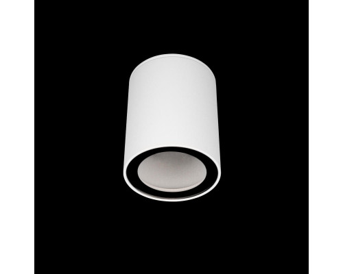 Дополнительное фото Светильник накладной Loft IT Rush 10344 White: Купить в Интернет магазин освещения GCSVET.RU